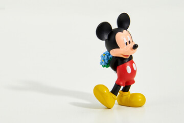 Mickey flowers